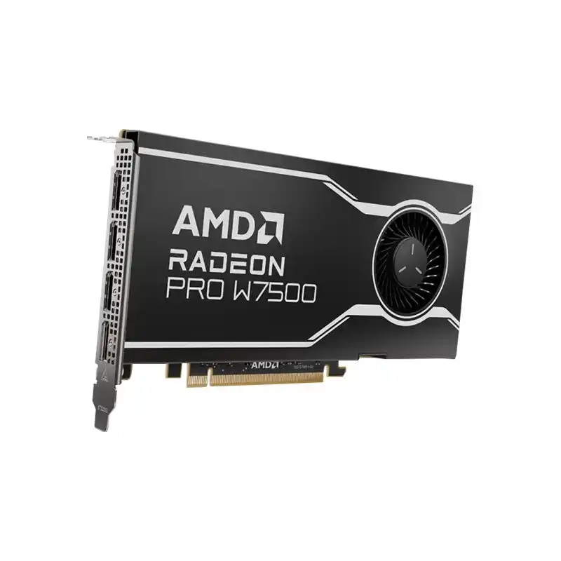 AMD Radeon Pro W7500 - Carte graphique - Radeon Pro W7500 - 8 Go GDDR6 - PCIe 4.0 x8 - 4 x DisplayPort (100-300000078)_1